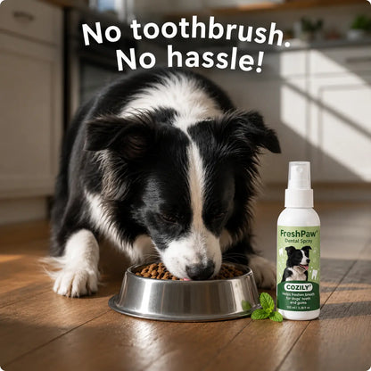 FreshPaw® Dental Spray – Natural Oral Care for Dogs