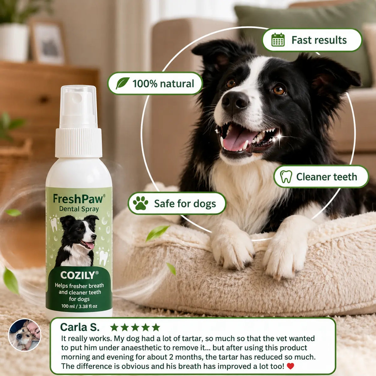 FreshPaw® Dental Spray – Natural Oral Care for Dogs