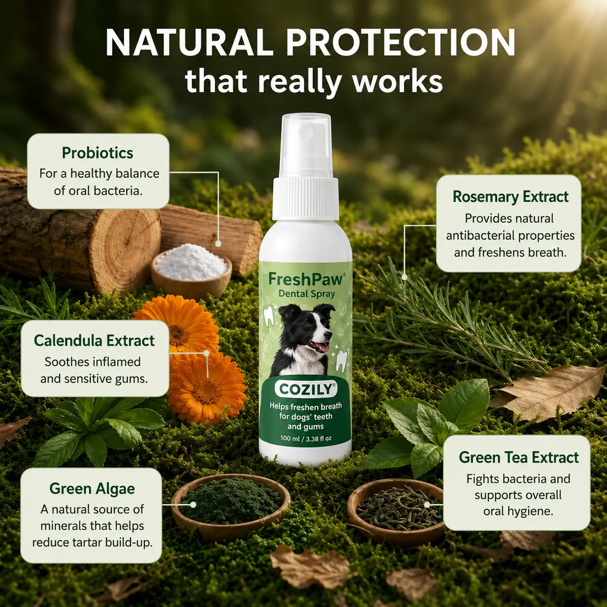 FreshPaw® Dental Spray – Natural Oral Care for Dogs