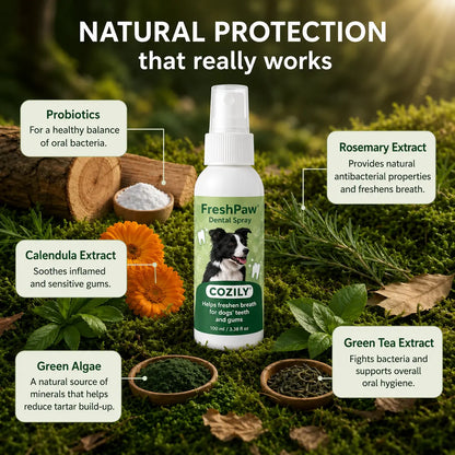 FreshPaw® Dental Spray – Natural Oral Care for Dogs